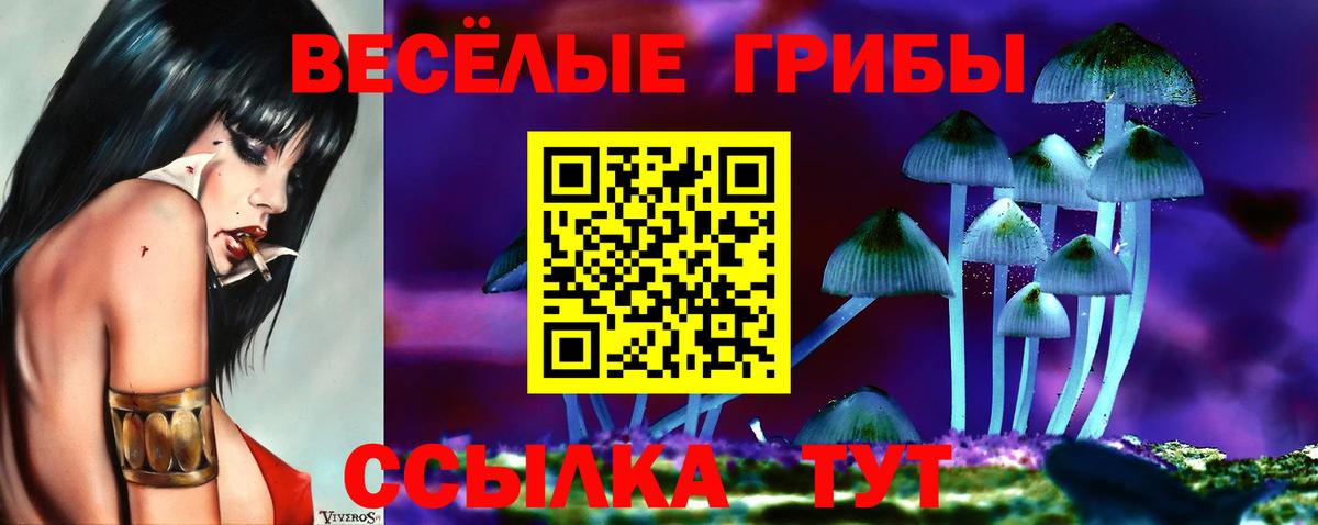 Санкт-Петербург  Галлюциногенные грибы Psilocybine cubensis  Вход с VPN 