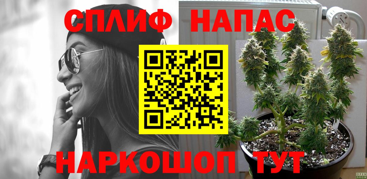 Бошки Шишки Amnesia  Вход с VPN  Марихуана Amnesia  Канабис марихуана  Санкт-Петербург 